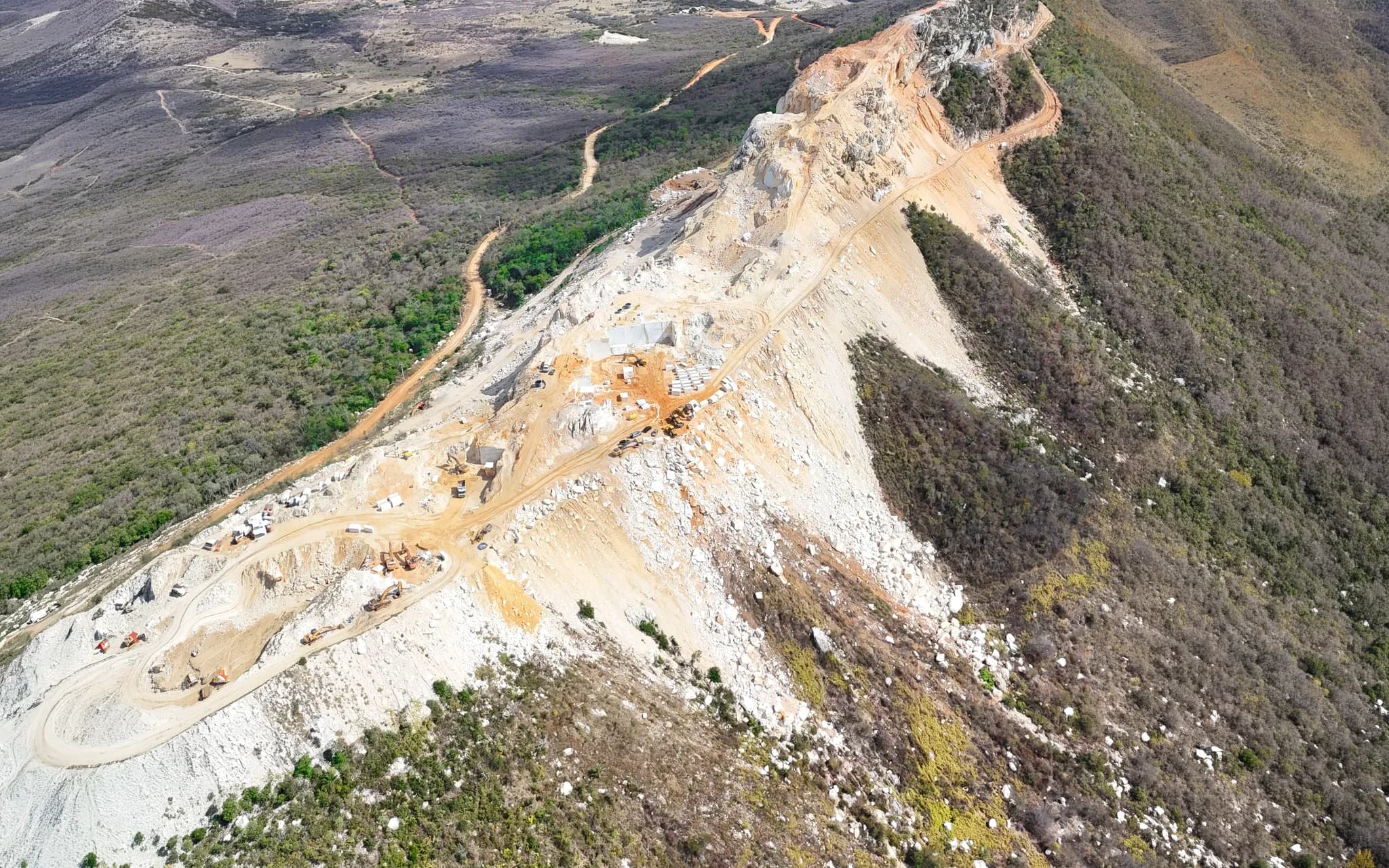 Área de regeneração com espécies nativas ao redor da jazida da São Jorge Group